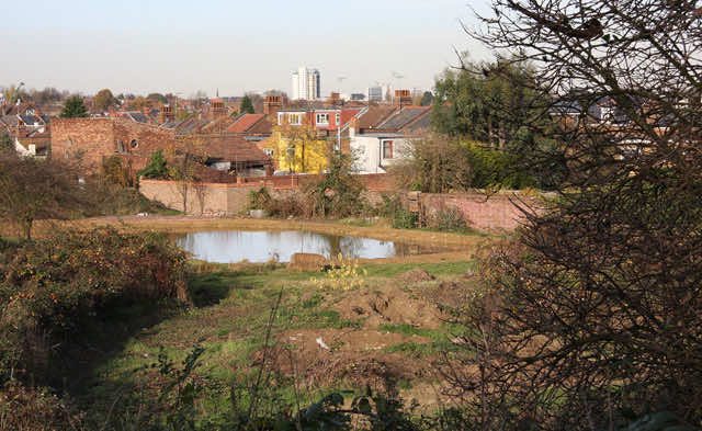 Long Lane Pasture in November 2007